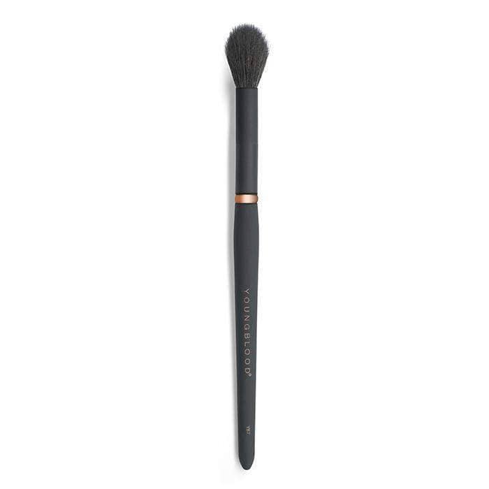 YB7 Highlight Brush - Youngblood Mineral Cosmetics